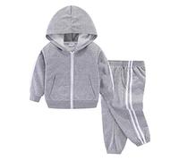 Mud Kingdom Tout-Petits Garçons Outfits Ensemble Sweat à Capuche et Jogging Zippé Sport Gris 2 Ans