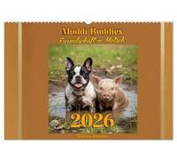 Muddi Buddies - L'amitié dans la boue, Version française (Calendrier mural 2026 DIN A3 portrait), Calendrier CALVENDO mensuel