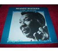 Muddy Waters - Unk in Funk