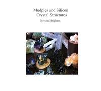 Mudpies and Silicon