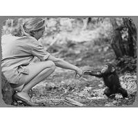 muecddoa Affiche en métal avec portrait de Jane Goodall avec bébé chimpanzé 20,3 x 30,5 cm