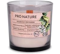 Müller Kerzen PRO NATURE Bougie parfumée en verre avec mèche en bois - Bouleau & herbes, 40h de combustion, cire de colza, huiles naturelles
