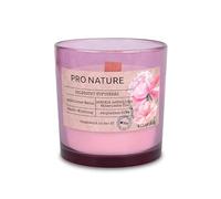 Müller Kerzen PRO NATURE Bougies Parfumées en Verre Rose avec Mèche en Bois - Cire Blanche et Huiles Naturelles de Colza de Rose Sauvage - Durée de Combustion Jusqu'à 40 Heures - Verre 100% Recyclé