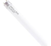 Müller-Licht Tubes LED CEE: C (A - G) G13 forme de tube 15.6 W blanc neutre (Ø x L) 28 mm x 1200 mm 1 pc(s)