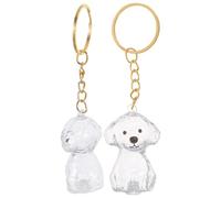 MUELODSIC 2 pièces Boîte à Souvenirs pour Poils de Chien Porte-clés Transparent Forme de Chien pour Collection de Poils Charme Commémoratif pour Mémoire Canine