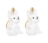 MUELODSIC 2 Pièces Capsule Transparente pour Poils de Chien Porte-clés Mémorial Boîte de Rangement Compacte et Légère pour Souvenirs Canins Pendentif Mini Urne Pratique pour Collectionner