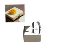 MUELODSIC 2 pièces Moule à Mousse Carré INOX avec Poussoir Anneaux Pâtisserie pour Cuisson et Découpe de Gâteaux Apéritifs et Desserts Outil de Cuisson et Facile à Nettoyer