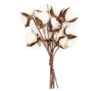 MUELODSIC Bouquet De Coton SéChé Blanc 28.00X6.00X3.00Cm Tiges Naturelles DéCoration Maison Bureau FêTes Cadeau Rustique Floral