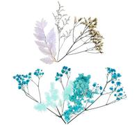 MUELODSIC Fleurs Séchées Naturelles pour Bougies DIY Kit Matériel Artisanal Fleurs Pressées Assortiment Décoratif Bleu pour Création Saint-Valentin Accessoires Loisirs Créatifs et