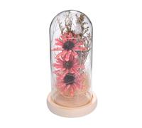 MUELODSIC Lampe LED à Dôme Miniature Tournesol Artificiel sous Verre Rose avec Base Plate Veilleuse à Fleurs Artificielles Décorative pour Bureau Mariage et Intérieur Lampe à Fleurs
