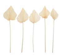 MUELODSIC Lot 5 Pièces Feuilles de Palmier Séchées Blanches Naturelles, Décoration Murale de Cœur, Ornements pour Mariage et Fête, Décor Intérieur Bohème Champêtre, Taille Variable