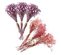 MUELODSIC Lot de 6 Mini Bouquets de Fleurs Séchées Gypsophile Hauteur 12 CM Couleurs Violet et Rose Foncé Décoration Mariage et Centre de Table Accessoires pour Plante Séchée et