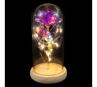 MUELODSIC Rose Éclatante LED avec Couvercle en Verre, Décoration De Fleur sous Cloche en Verre, Lumière Chaude Violet Doré, Ornement Romantique pour Bureau, Salon Et Fête, Présent Saint-Valentin