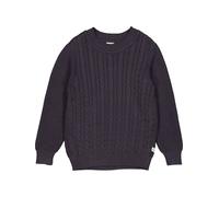 Müsli by GREEN COTTON Pull-over bleu, Taille 104