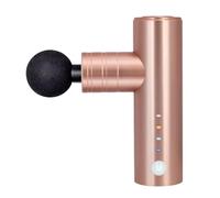 Muet Pistolet de massage en plastique avec 4 vitesses et 4 têtes de massage, masseur portable rechargeable for tissus profonds avec étui de transport compact(Gold)