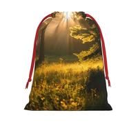MUFLVDX Sac cadeau de Noël imprimé soleil matin dans la nature sauvage, pochettes cadeaux multi-usages, pour Noël, mariages, fêtes, cadeaux, bonbons
