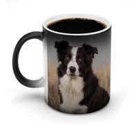 Mug Border Collie à couleur changeante, mug thermosensible en céramique, mug noir réactif à la chaleur, tasse à thé avec message apparaissant lorsqu'il chauffe, cadeau d'anniversaire pour un proche.