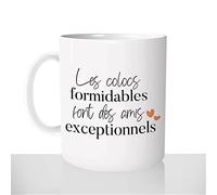 Mug-Cadeau Les Colocs Formidables - Tasse Café Idée Cadeau Original Colocataire Colocation Amitié Amis - Noël Anniversaire