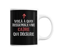 Mug Cadre Qui Déchire Tasse Café Métier Pour Collègue De Travail Ami Ou Famille Imprimé En France