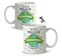 Mug Developpeur. Cadeau Informatique. Cadeau Developpeur. Tasse Informaticien. Mug Rigolo pour informaticien. Tasses de métiers. Tasse informatique. Mugs pour les travailleurs. 330ml Tasse Programmeur
