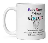 Mug Gemeaux Homme coquin - Tasse humour Signe Astro Koquin Gemeaux - Mug signe astrologique drôle - Qualité Cadeau Original Anniversaire Noël Fête garçon collègue ami céramique 325ml petit déjeuner