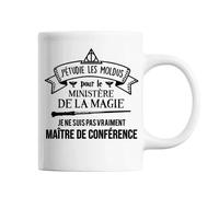 Mug Homme Maître De Conférence Ministère Magie Tasse Blanche