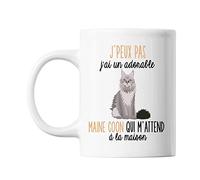 Mug J'peux pas Maine Coon
