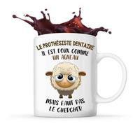 Mug Le Prothésiste Dentaire Doux Comme Un Agneau Tasse Métier Collègue Cadeau Travail Retraite
