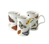 Mug Papillon 32 cl (lot de 3) Roy Kirkham