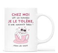 Mug Personnalisé Nom du Chat - Chez Moi Vit Un Humain - Mug Drole Homme, Mug Rigolo Femme, Tasse À Thé Chat, Mug Chat Humour, Tasse Rigolote, Tasse Chat Humour