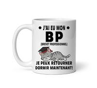 Mug Réussite diplôme Brevet professionnel collège dormir chat Tasse