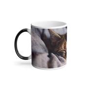 Mug Thermo-réactif Tasse Magique - Chatons Tigre Endormis Mignon Relax Chill - 325 ml