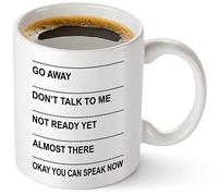 Mug « You May Speak Now » avec inscription « Go Away Don't Talk To Me », « Shh Almost Now You May Speak », tasse à café amusante et impertinente, cadeau pour homme, femme, bureau, blanc, 325 ml