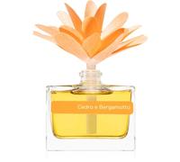 Muha Flower Cedar & Bergamot Diffuseur D'huiles Essentielles Avec Recharge 30 Ml