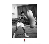 Muhammad Ali (Punch Bag 60 x 80 cm Toile Imprimée