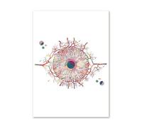 Muholin Anatomie de l'œil,ophtalmologiste,outil d'optométrie,affiches et impressions nordiques abstraites,art mural,peinture sur toile,décoration murale pour cabinet médical 21x30cm sans cadre