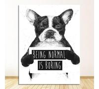 Muholin Tableau sur toile de style nordique,art mural,images mignonnes,décoration intérieure,affiche amusante d'animaux en noir et blanc 21x30cm sans cadre