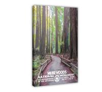 Muir Woods Poster sur toile du monument national - Décoration murale pour salon, chambre à coucher - 20 x 30 cm