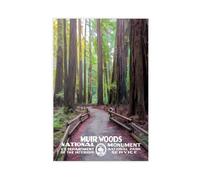Muir Woods Poster sur toile du monument national - Décoration murale pour salon, chambre à coucher - 50 x 75 cm