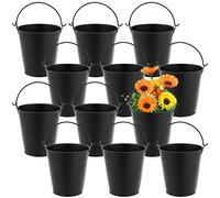 MUKLEI Lot de 12 Petits seaux en métal galvanisé de 10 cm - Noir - Seau à Fleurs à Suspendre avec poignée - Mini Pots à Plantes Grasses en métal à Suspendre pour Petites Plantes