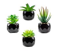 MukMlon Simulation de Succulentes, Mini Succulentes Artificielles, Petite Fausse Plante pour la décoration de Bureau, décoration d'intérieur (Céramique Noire, 4 Pcs)