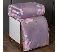 Mulberry Silk Comforter Summer Cool Quilt Spring/Autumn Quilt Winter Double King Duvet Jacquard Bedding in Filler (Color : Green Size : 220x240cm 5.0kg) (Purple 220x240cm 4.0kg)