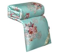 Mulberry Silk Comforter Summer Cool Quilt Spring/Autumn Quilt Winter Double King Duvet Jacquard Bedding in Filler (Color : Green Size : 220x240cm 5.0kg) (Green 220x240cm 3.0kg)