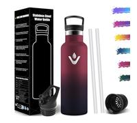 Mulbijeo Gourde Isotherme 500 ML, Gourde INOX avec Paille, Réutilisable, Bouteille d'eau sans BPA, Anti-Fuite, Isolation sous Vide en Acier Inoxydable à Double Paroi, pour Enfants, Adultes, Sport