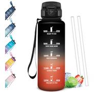 Mulbijeo Gourde Paille 1,5L, Étanche & Portable, Gourde Avec Paille Adulte, Échelle de Temps et Slogans de Motivation, Bouteille d'eau Sport, Bouteille pour Randonnée, Camping, Fitness, Yoga