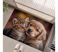 MULERN Tapis d'Entrée Interieur 90x150cm, Animaux Acceptés, Chatons Et Chiots Animaux De Compagnie Mignons, Lavable en Machine Antidérapant, Convient Couloirs Corridors et Salons, Brun