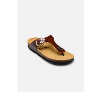 Mules et sabots Plakton BOLERO pour 37 Marron