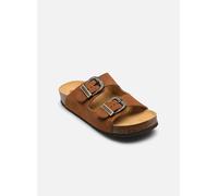 Mules et sabots Plakton CP Beta West pour Femme 39 Marron