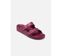 Scholl Femme Bahia, Wine, 36 EU