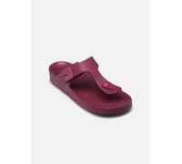 Mules et sabots Scholl BAHIA FLIP-FLOP COMFORT pour Femme 38 Violet